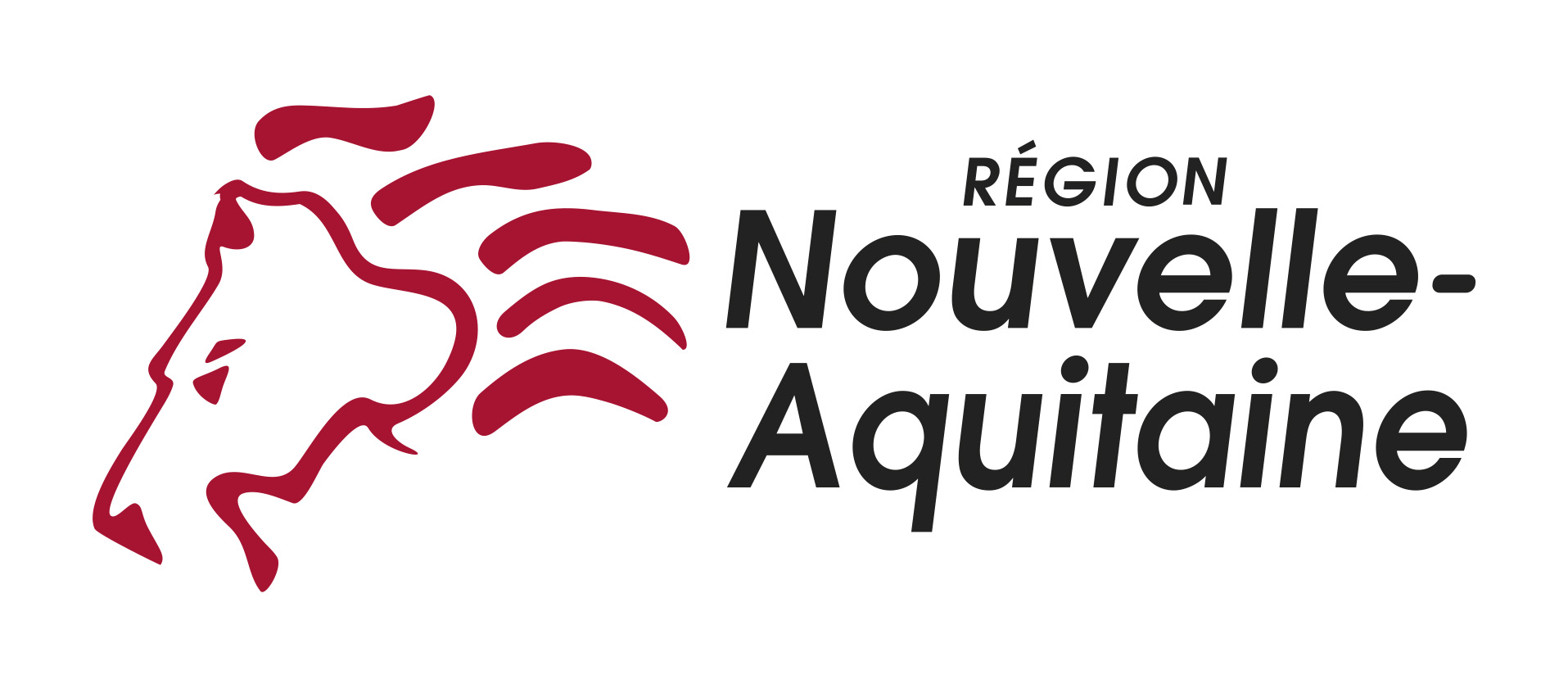 logo_NA_Horizontal_Coul.jpg